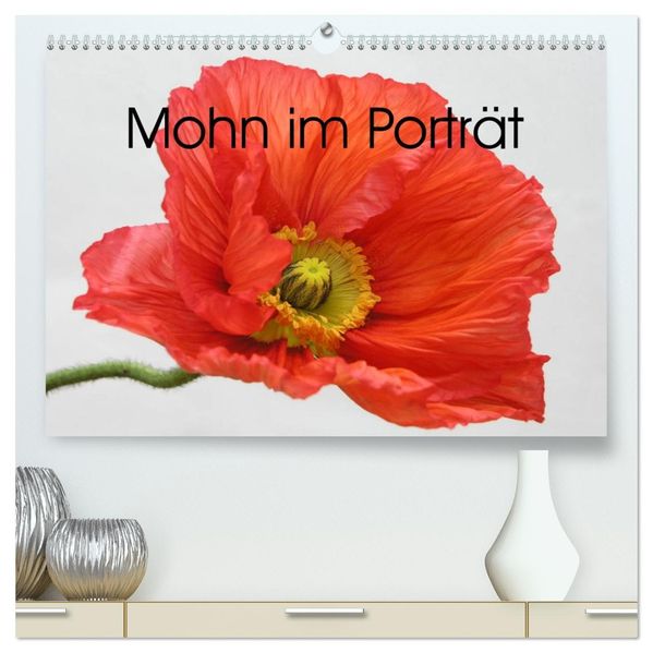 Mohn im Porträt (hochwertiger Premium Wandkalender 2026 DIN A2 quer) Kunstdruck in Hochglanz