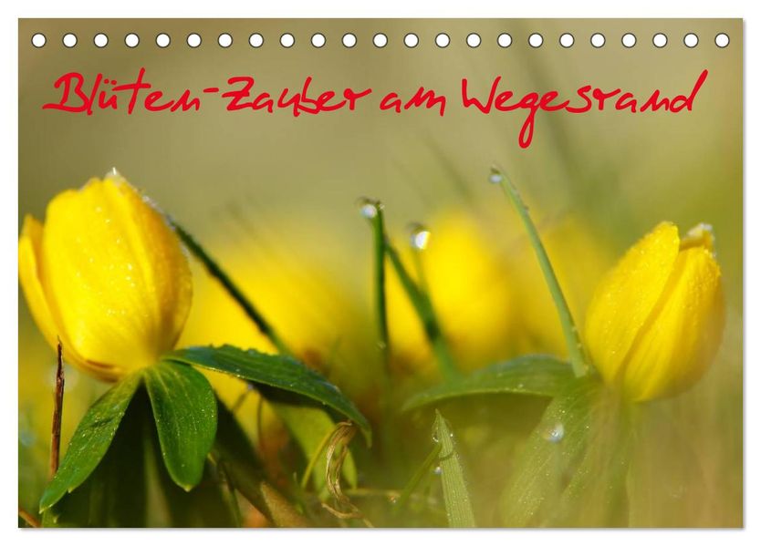 Blüten-Zauber am Wegesrand 2026 (Tischkalender 2026 DIN A5 quer) CALVENDO Monatskalender
