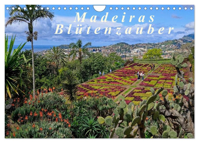 Madeiras Blütenzauber (Wandkalender 2026 DIN A4 quer) CALVENDO Monatskalender