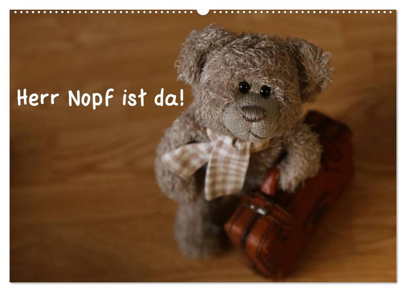 Herr Nopf ist da! (Wandkalender 2026 DIN A2 quer) CALVENDO Monatskalender