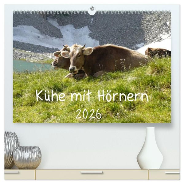 Kühe mit Hörnern (hochwertiger Premium Wandkalender 2026 DIN A2 quer) Kunstdruck in Hochglanz