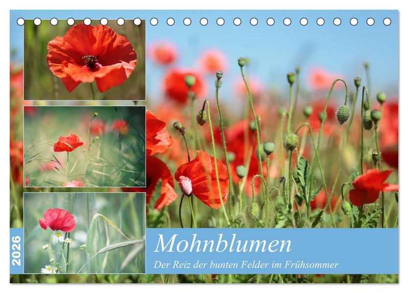 Mohnblumen (Tischkalender 2026 DIN A5 quer) CALVENDO Monatskalender