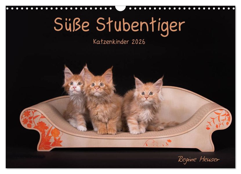 Süße Stubentiger - Katzenkinder (Wandkalender 2026 DIN A3 quer) CALVENDO Monatskalender