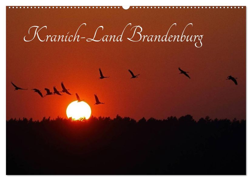 Kranich-Land Brandenburg (Wandkalender 2026 DIN A2 quer) CALVENDO Monatskalender
