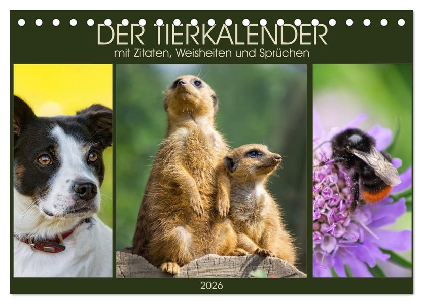 Der Tierkalender mit Zitaten Weisheiten und Sprüchen (Tischkalender 2026 DIN A5 quer) CALVENDO Monatskalender
