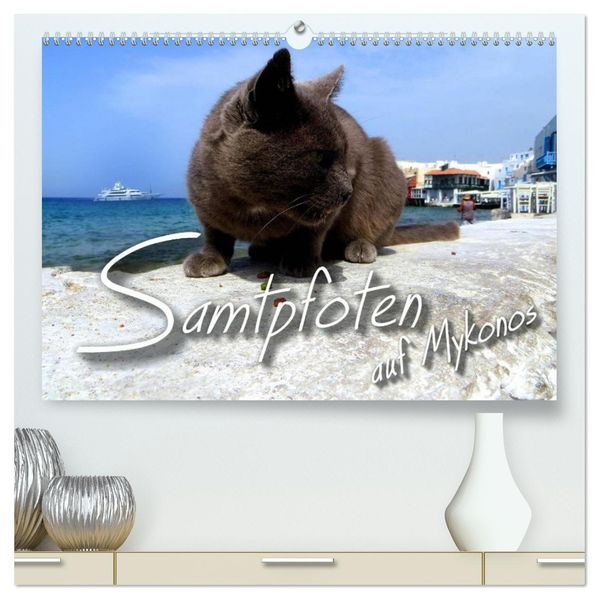 SAMTPFOTEN auf Mykonos (hochwertiger Premium Wandkalender 2026 DIN A2 quer) Kunstdruck in Hochglanz