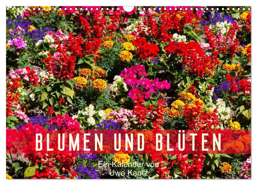 Blumen und Blüten (Wandkalender 2026 DIN A3 quer) CALVENDO Monatskalender