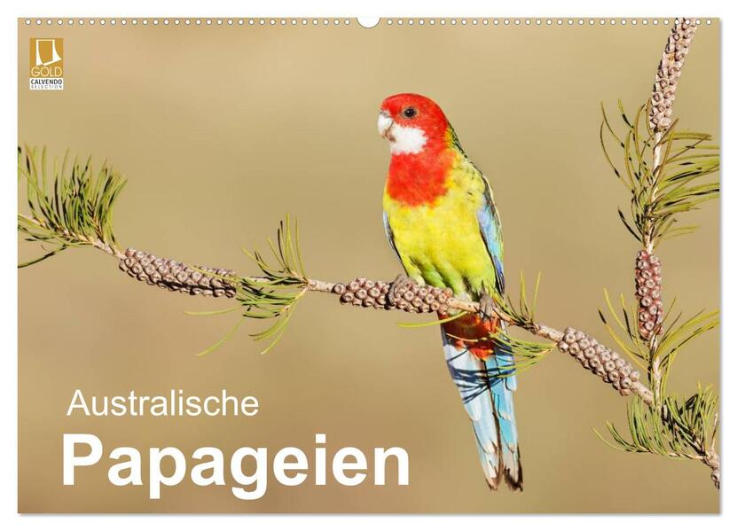 Australische Papageien (Wandkalender 2026 DIN A2 quer) CALVENDO Monatskalender