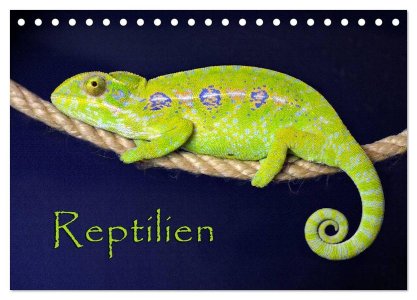 Reptilien (Tischkalender 2026 DIN A5 quer) CALVENDO Monatskalender