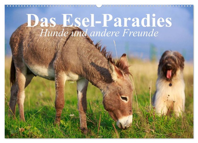 Das Esel-Paradies - Hunde und andere Feunde (Wandkalender 2026 DIN A2 quer) CALVENDO Monatskalender