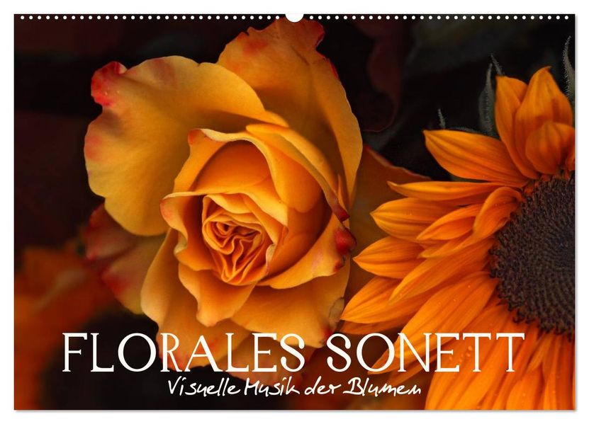 Florales Sonett - Visuelle Musik der Blumen (Wandkalender 2026 DIN A2 quer) CALVENDO Monatskalender