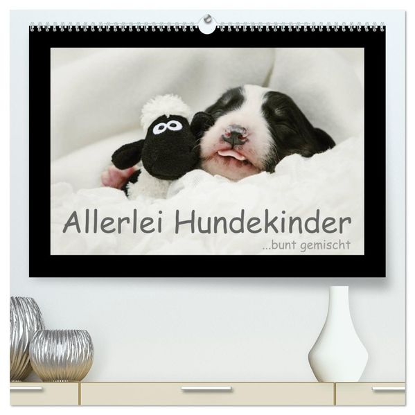 Allerlei Hundekinder (hochwertiger Premium Wandkalender 2026 DIN A2 quer) Kunstdruck in Hochglanz