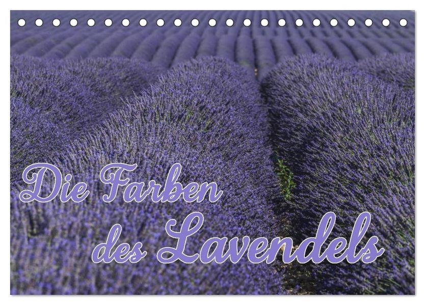 Die Farbe des Lavendels (Tischkalender 2026 DIN A5 quer) CALVENDO Monatskalender
