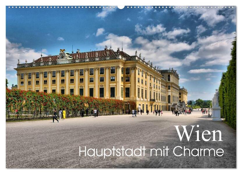 Wien - Haupstadt mit Charme (Wandkalender 2026 DIN A2 quer) CALVENDO Monatskalender