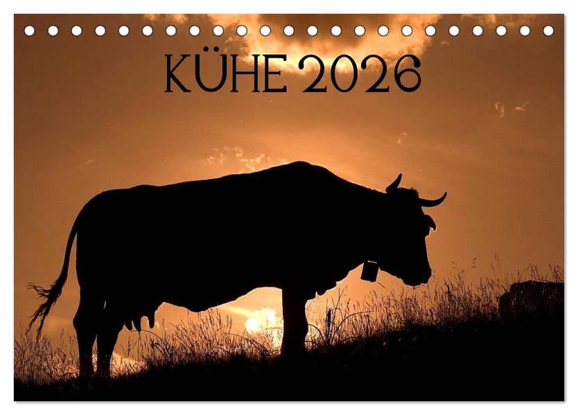 Kühe 2026 (Tischkalender 2026 DIN A5 quer) CALVENDO Monatskalender