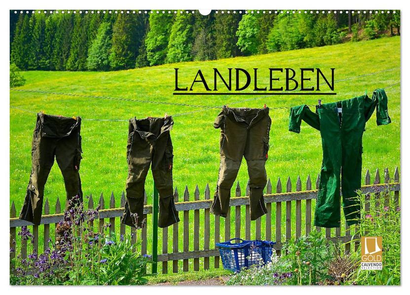 Landleben (Wandkalender 2026 DIN A2 quer) CALVENDO Monatskalender