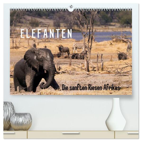 Elefanten - Die sanften Riesen Afrikas (hochwertiger Premium Wandkalender 2026 DIN A2 quer) Kunstdruck in Hochglanz
