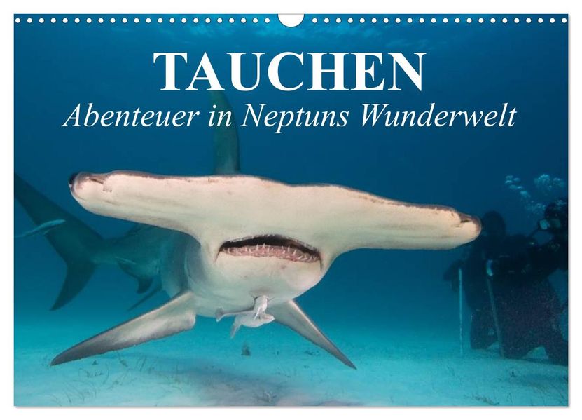 Tauchen - Abenteuer in Neptuns Wunderwelt (Wandkalender 2026 DIN A3 quer) CALVENDO Monatskalender