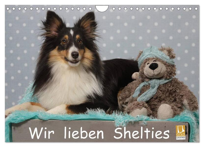 Wir lieben Shelties (Wandkalender 2026 DIN A4 quer) CALVENDO Monatskalender