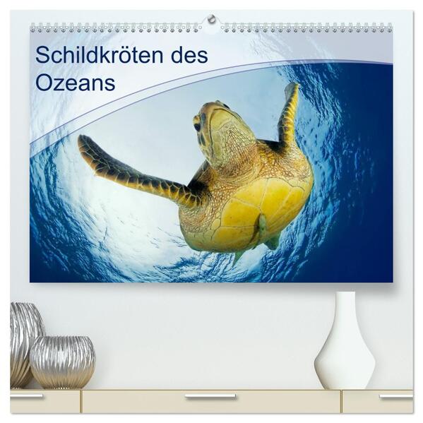 Schildkröten des Ozeans (hochwertiger Premium Wandkalender 2026 DIN A2 quer) Kunstdruck in Hochglanz