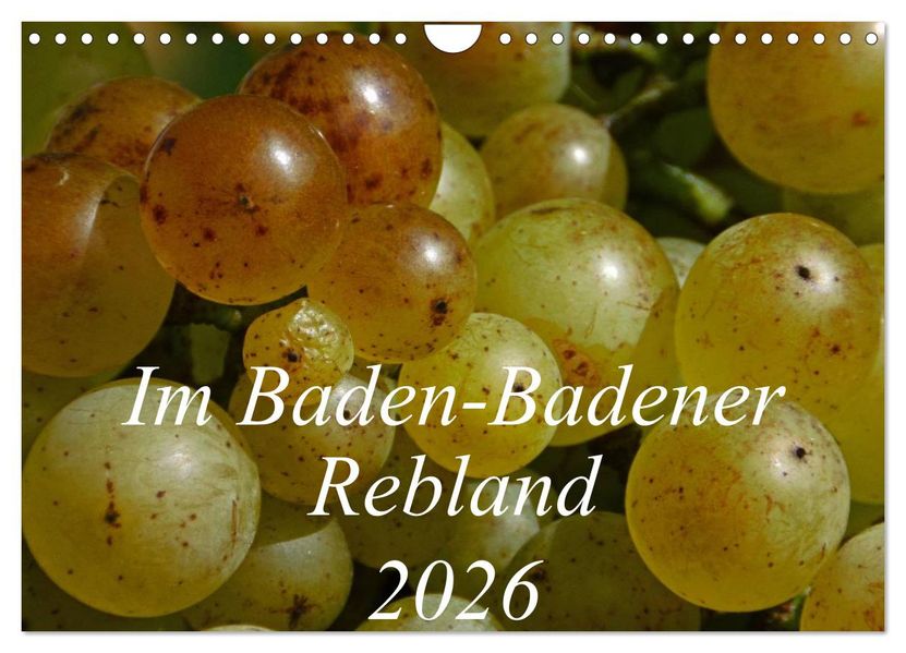 Im Baden-Badener Rebland 2026 (Wandkalender 2026 DIN A4 quer) CALVENDO Monatskalender