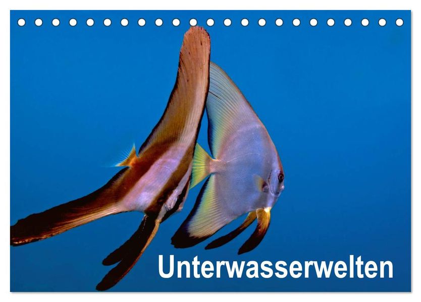 Unterwasserwelten (Tischkalender 2026 DIN A5 quer) CALVENDO Monatskalender