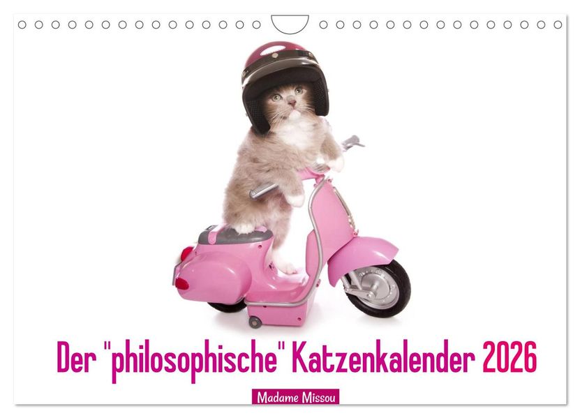 Der 'philosophische' Katzenkalender 2026 (Wandkalender 2026 DIN A4 quer) CALVENDO Monatskalender