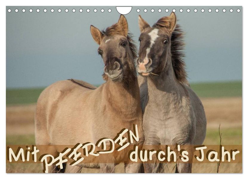 Mit Pferden durchs Jahr (Wandkalender 2026 DIN A4 quer) CALVENDO Monatskalender