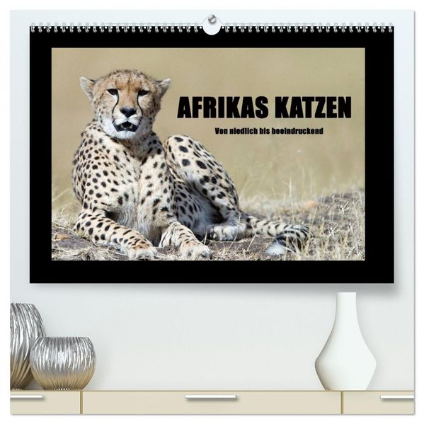 Afrikas Katzen (hochwertiger Premium Wandkalender 2026 DIN A2 quer) Kunstdruck in Hochglanz