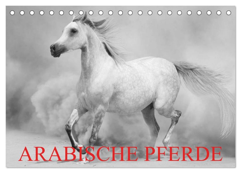 Arabische Pferde (Tischkalender 2026 DIN A5 quer) CALVENDO Monatskalender