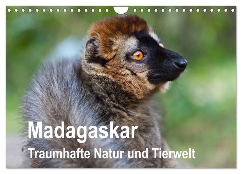 Madagaskar. Traumhafte Natur und Tierwelt (Wandkalender 2026 DIN A4 quer) CALVENDO Monatskalender