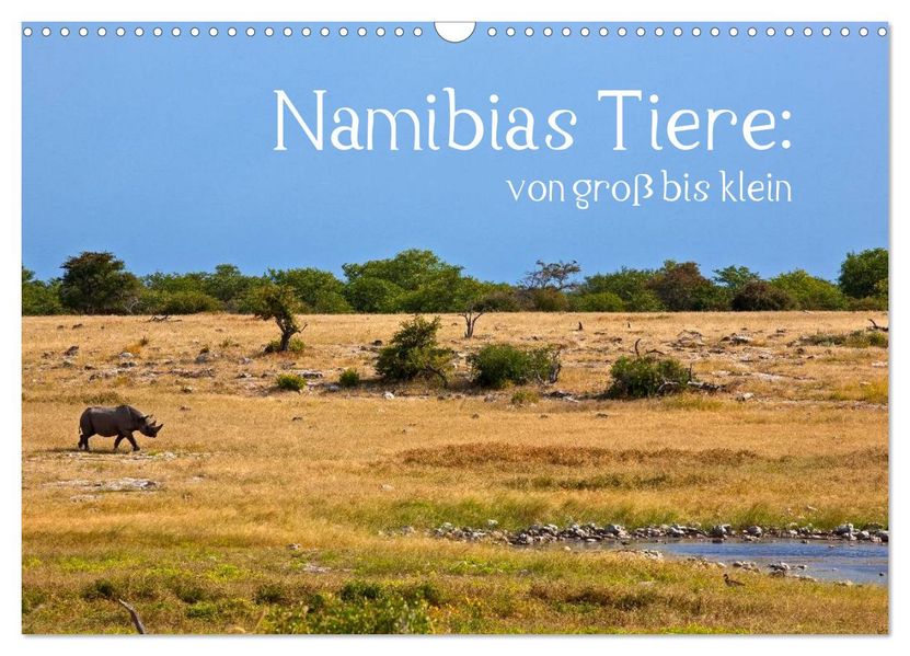 Namibias Tiere: von groß bis klein (Wandkalender 2026 DIN A3 quer) CALVENDO Monatskalender