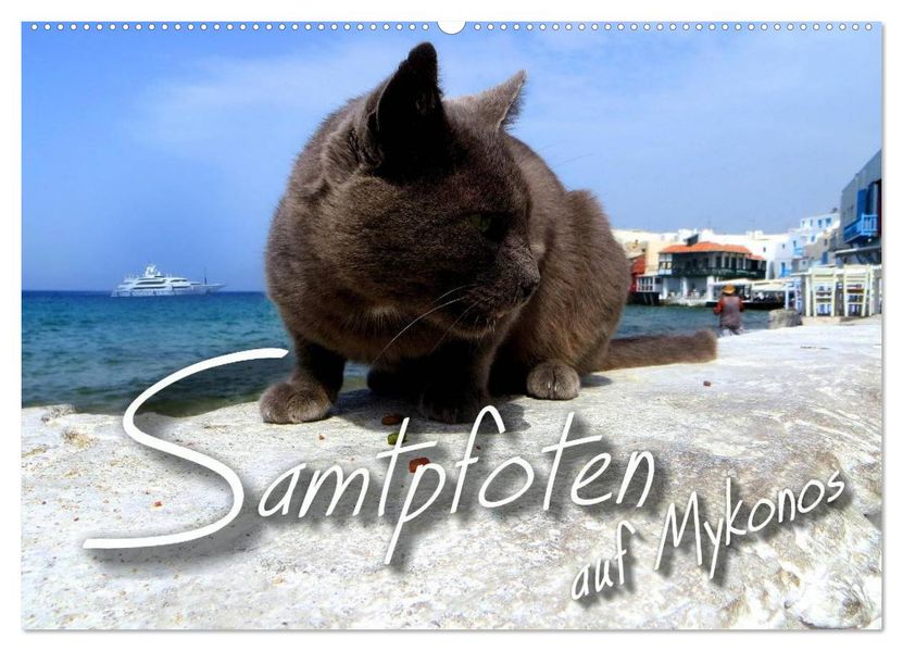 SAMTPFOTEN auf Mykonos (Wandkalender 2026 DIN A2 quer) CALVENDO Monatskalender