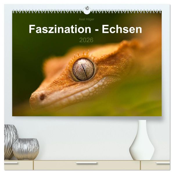 Faszination - Echsen (hochwertiger Premium Wandkalender 2026 DIN A2 quer) Kunstdruck in Hochglanz