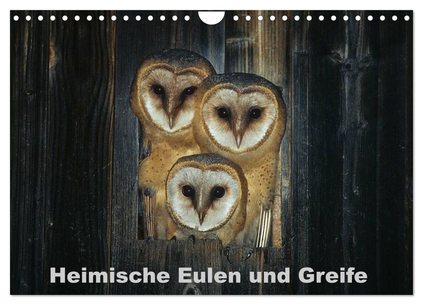 Heimische Eulen und Greife (Wandkalender 2026 DIN A4 quer) CALVENDO Monatskalender