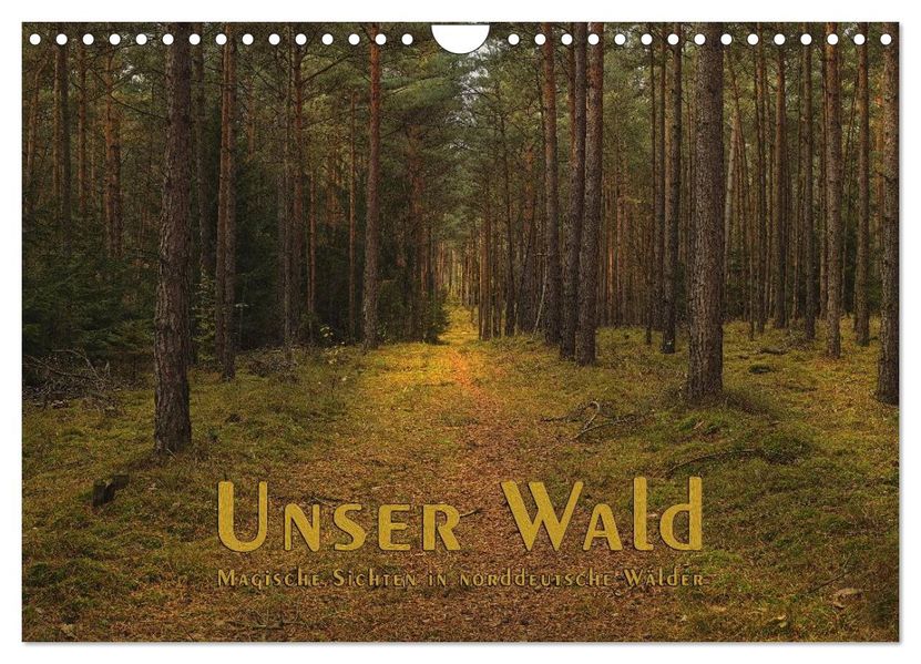 Unser Wald - Magische Sichten in norddeutsche Wälder (Wandkalender 2026 DIN A4 quer) CALVENDO Monatskalender