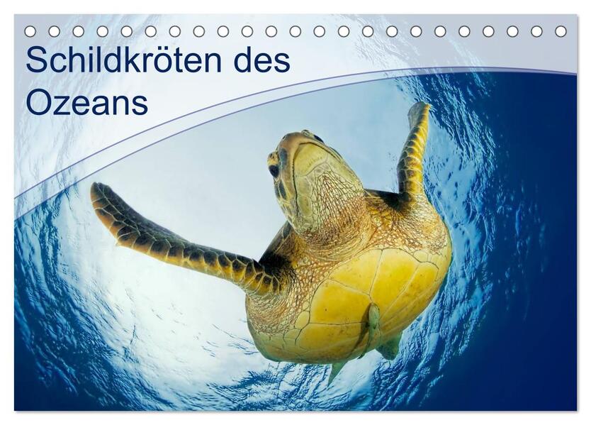 Schildkröten des Ozeans (Tischkalender 2026 DIN A5 quer) CALVENDO Monatskalender