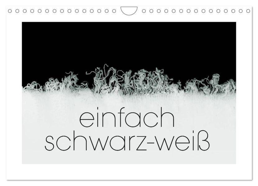 einfach schwarz-weiß (Wandkalender 2026 DIN A4 quer) CALVENDO Monatskalender