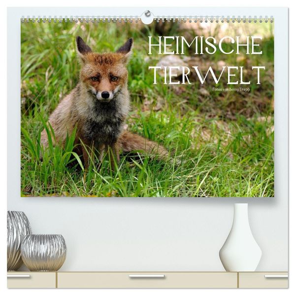 Heimische Tierwelt (hochwertiger Premium Wandkalender 2026 DIN A2 quer) Kunstdruck in Hochglanz