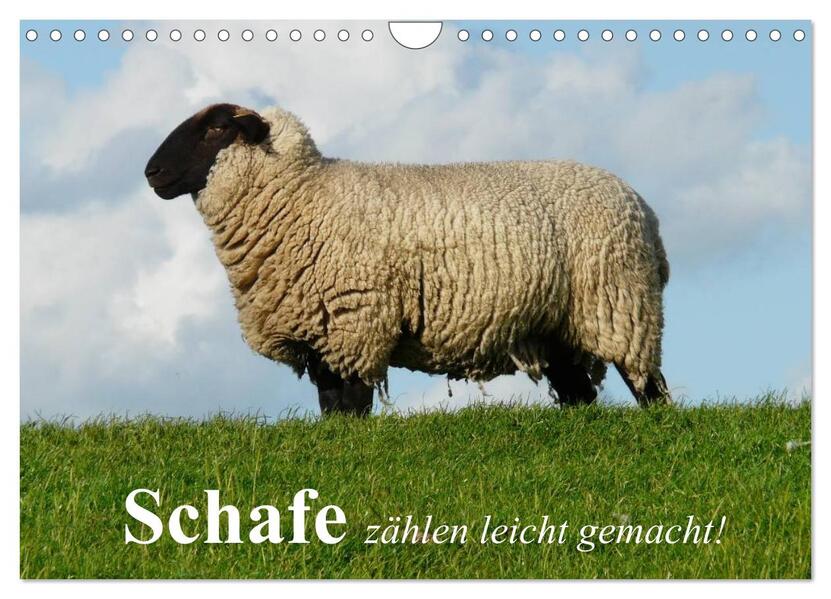 Schafe zählen leicht gemacht! (Wandkalender 2026 DIN A4 quer) CALVENDO Monatskalender