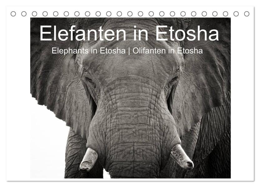 Elefanten in Etosha (Tischkalender 2026 DIN A5 quer) CALVENDO Monatskalender