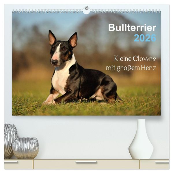 Bullterrier 2026 - Kleine Clowns mit großem Herz (hochwertiger Premium Wandkalender 2026 DIN A2 quer) Kunstdruck in Hochglanz
