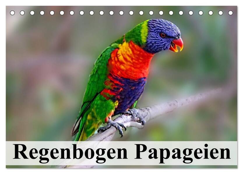 Regenbogen Papageien (Tischkalender 2026 DIN A5 quer) CALVENDO Monatskalender