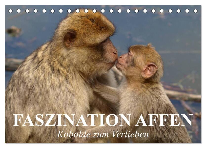 Faszination Affen. Kobolde zum Verlieben (Tischkalender 2026 DIN A5 quer) CALVENDO Monatskalender