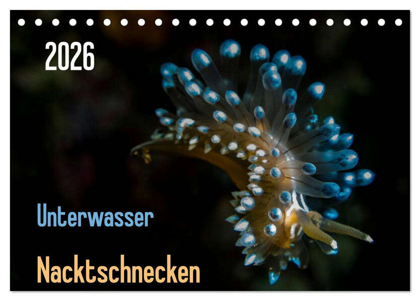 Unterwasser - Nacktschnecken 2026 (Tischkalender 2026 DIN A5 quer) CALVENDO Monatskalender