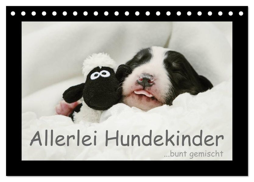 Allerlei Hundekinder (Tischkalender 2026 DIN A5 quer) CALVENDO Monatskalender