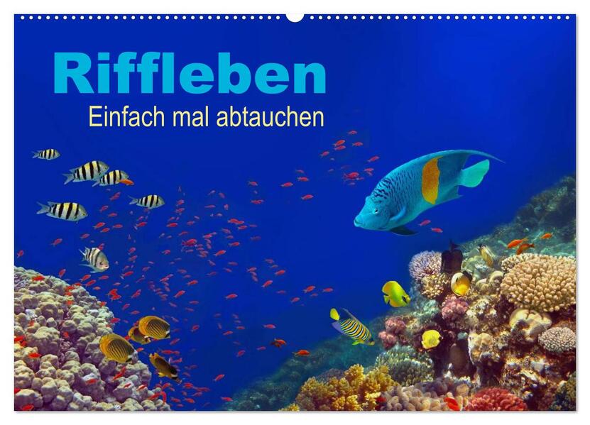 Riffleben - Einfach mal abtauchen (Wandkalender 2026 DIN A2 quer) CALVENDO Monatskalender