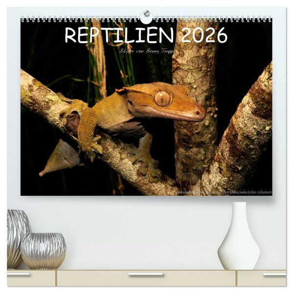 REPTILIEN (hochwertiger Premium Wandkalender 2026 DIN A2 quer) Kunstdruck in Hochglanz