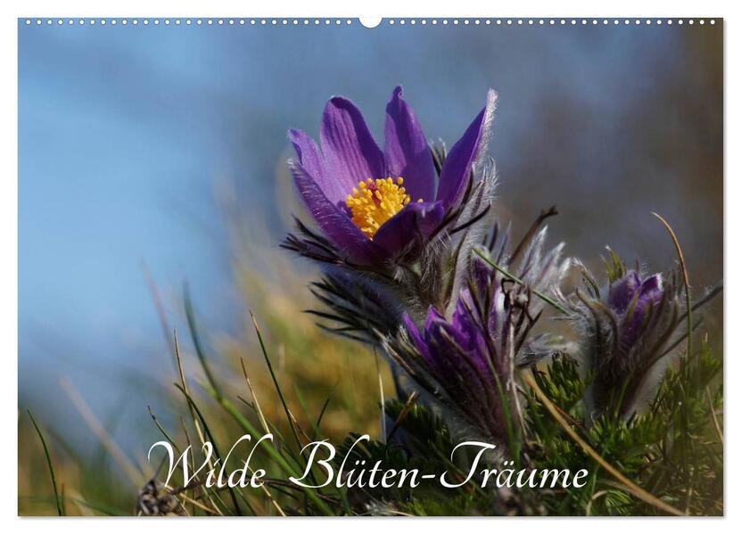 Wilde Blüten-Träume (Wandkalender 2026 DIN A2 quer) CALVENDO Monatskalender
