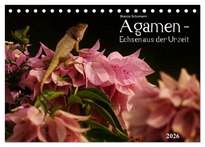 Agamen - Echsen aus der Urzeit (Tischkalender 2026 DIN A5 quer) CALVENDO Monatskalender